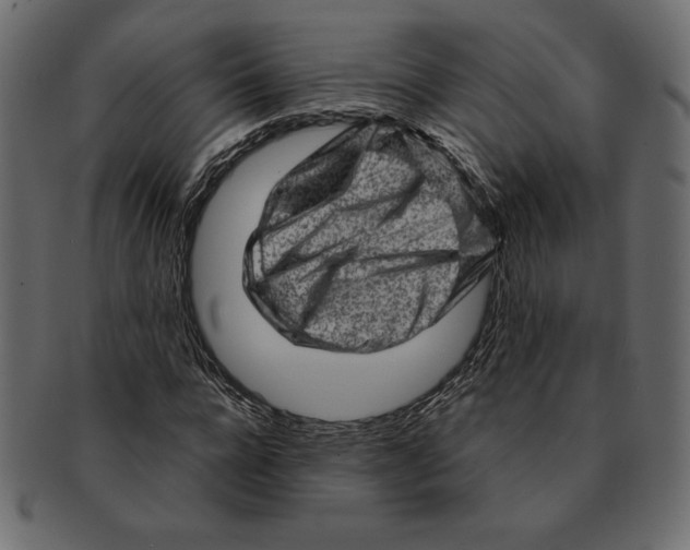 X0000091360920200709071259