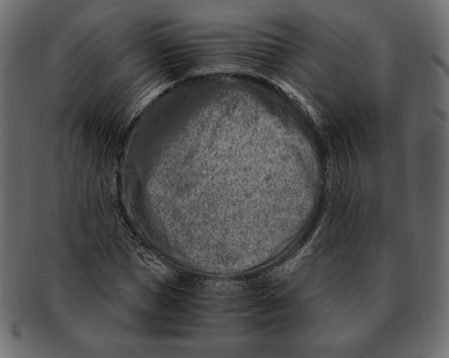 X0000091360921200709071259