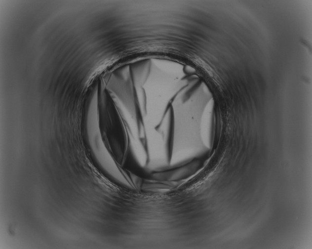 X0000091360922200709071259