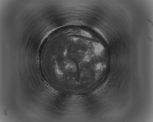 X0000091360923200709071259