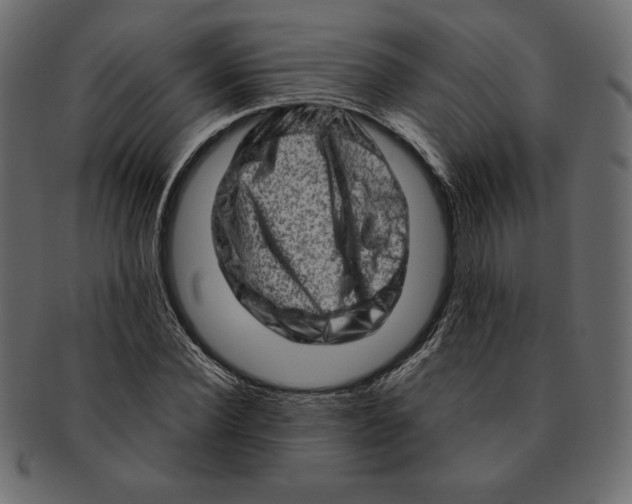 X0000091360924200709071259