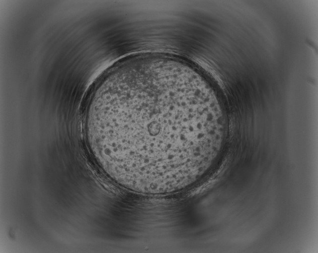 X0000091360925200709071259