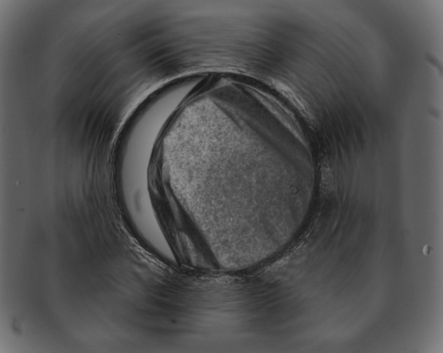 X0000091360926200709071259