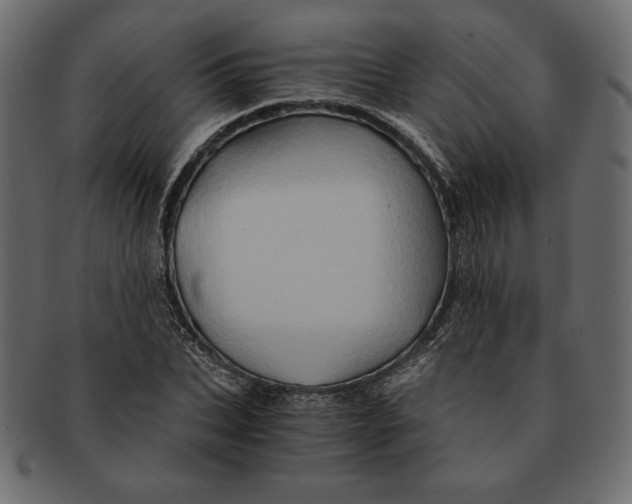 X0000091360927200709071259