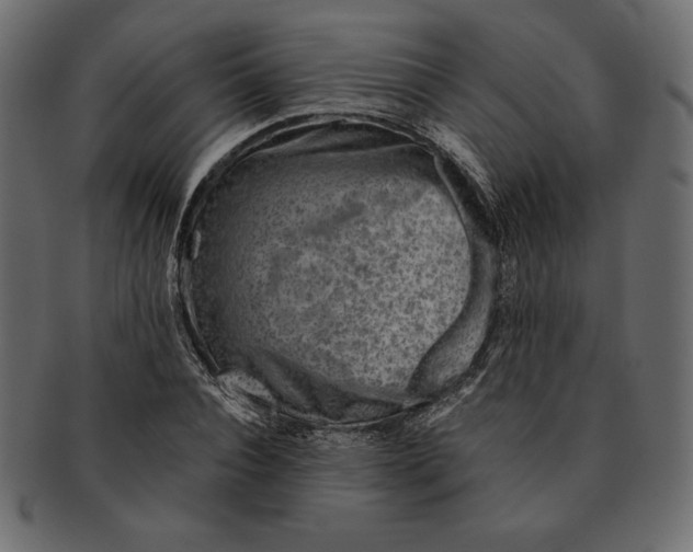 X0000091360928200709071259