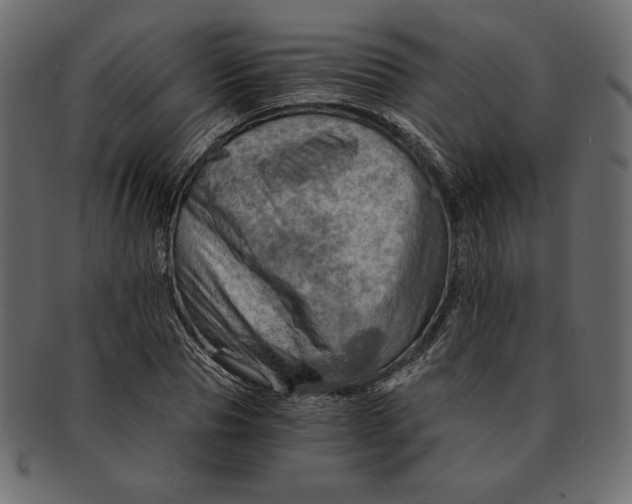 X0000091360929200709071259