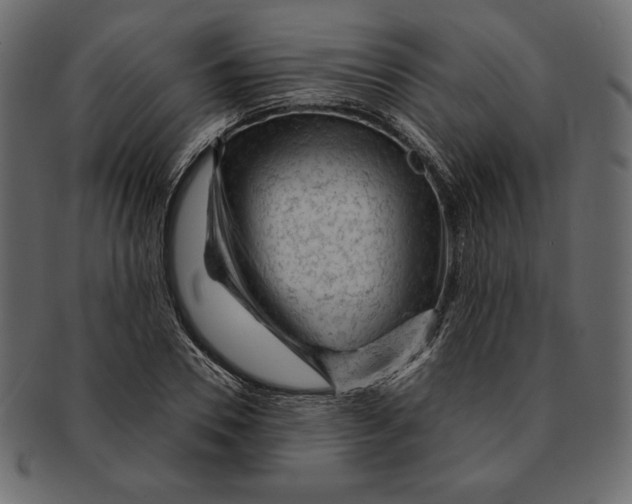 X0000091360930200709071259