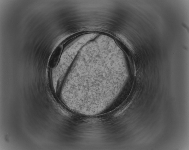 X0000091360932200709071259