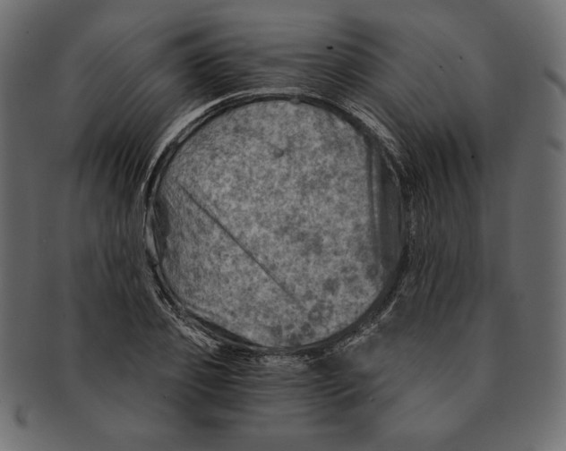 X0000091360933200709071259