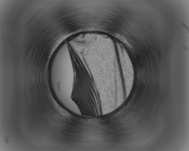 X0000091360934200709071259