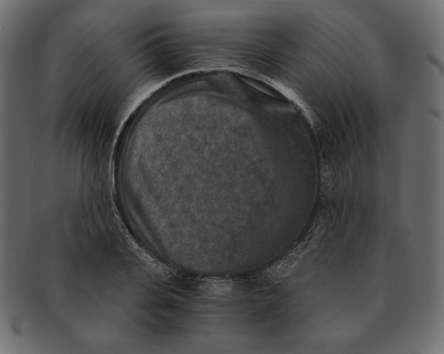 X0000091360935200709071259