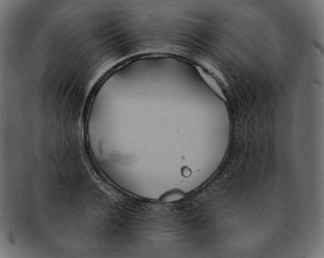 X0000091360936200709071300