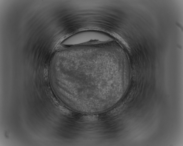 X0000091360937200709071300