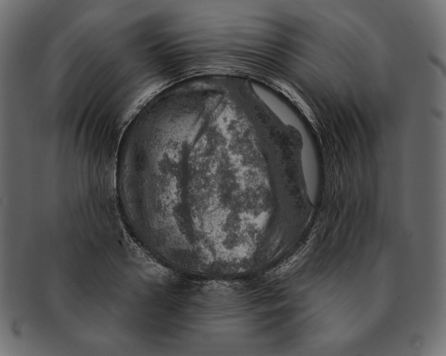 X0000091360938200709071300