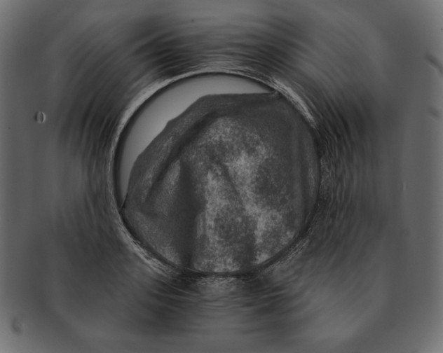 X0000091360939200709071300