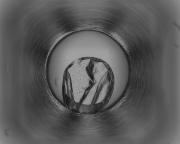 X0000091360940200709071300