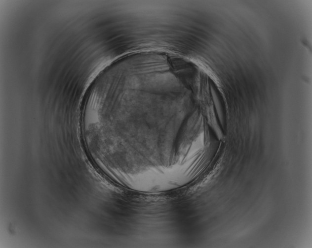 X0000091360941200709071300