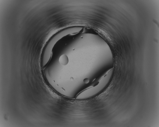 X0000091360942200709071300