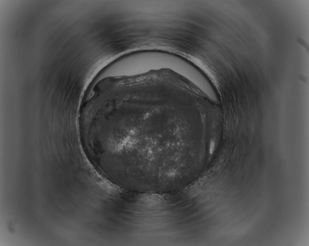 X0000091360943200709071300