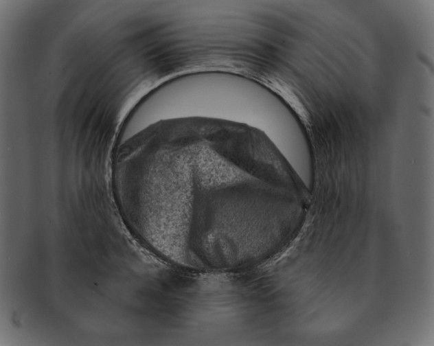 X0000091360944200709071300