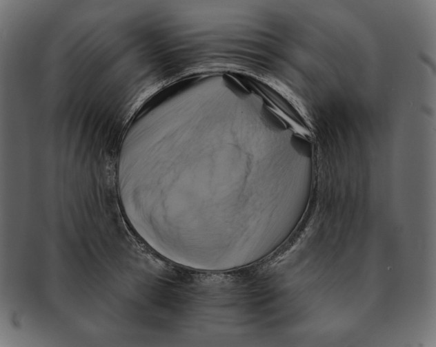 X0000091360945200709071300