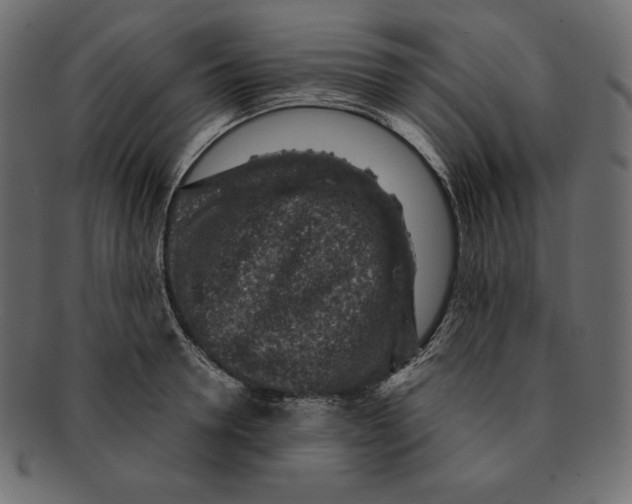 X0000091360946200709071300