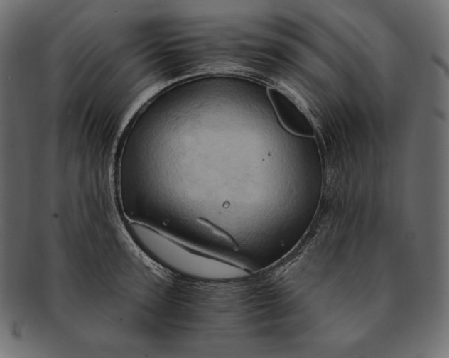 X0000091360947200709071300