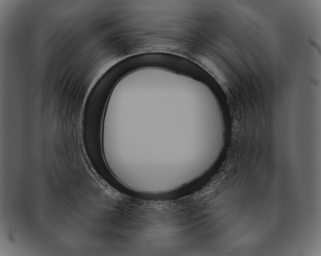 X0000091360948200709071300