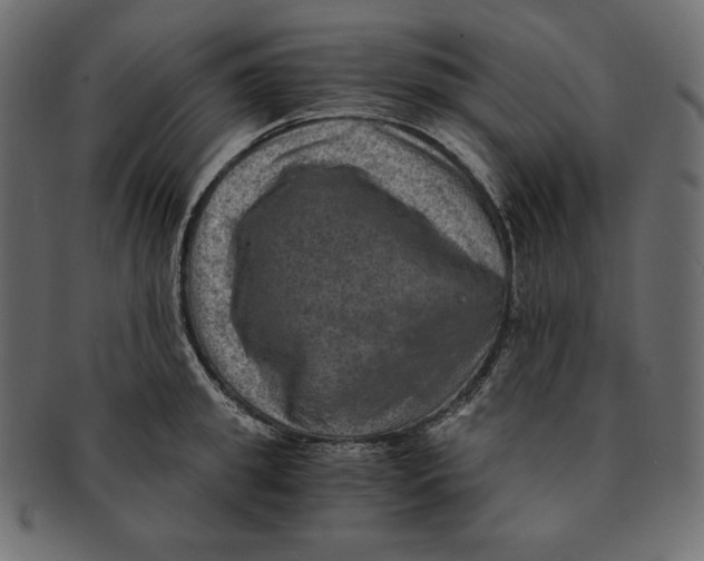 X0000091360949200709071300