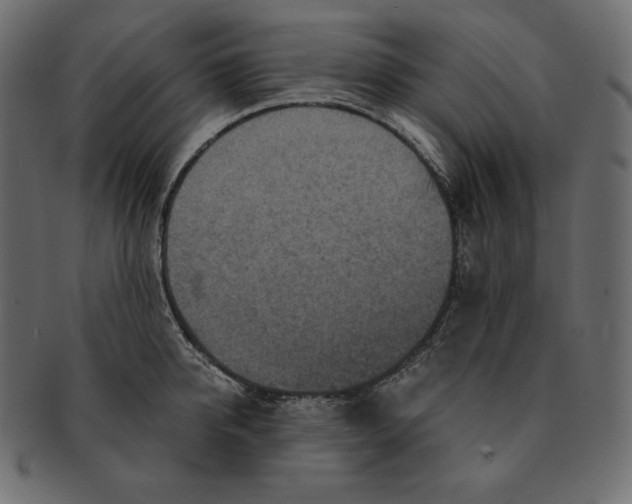 X0000091360950200709071300