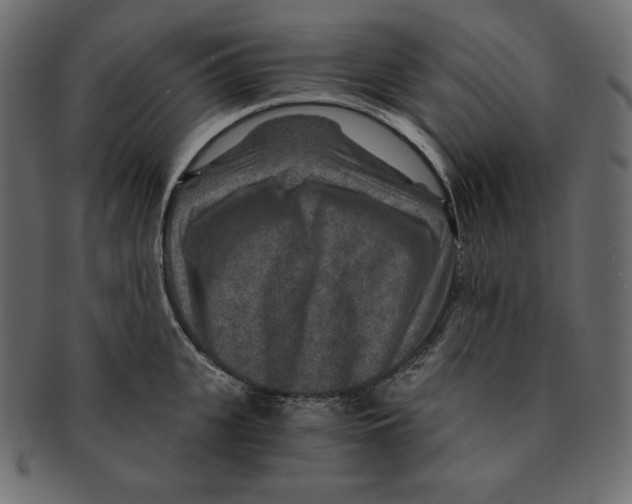 X0000091360951200709071300