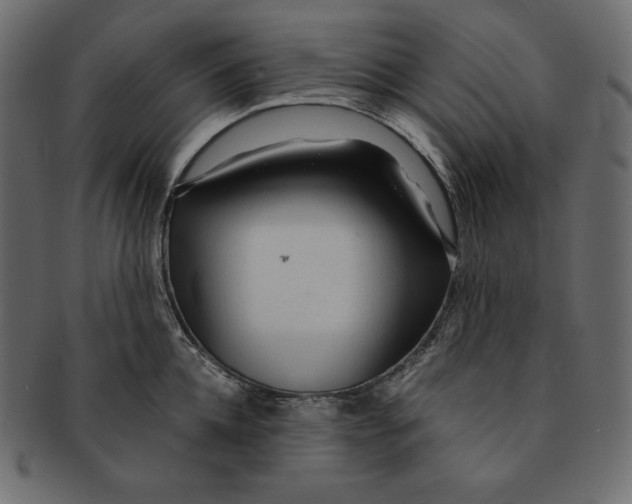 X0000091360952200709071300