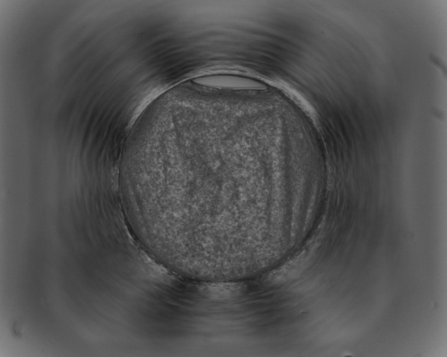 X0000091360953200709071300