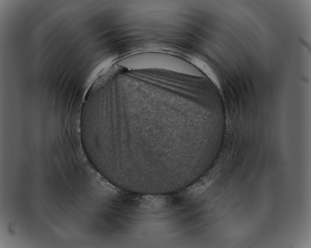 X0000091360954200709071300