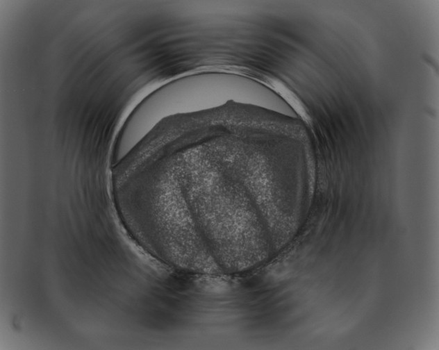 X0000091360955200709071300