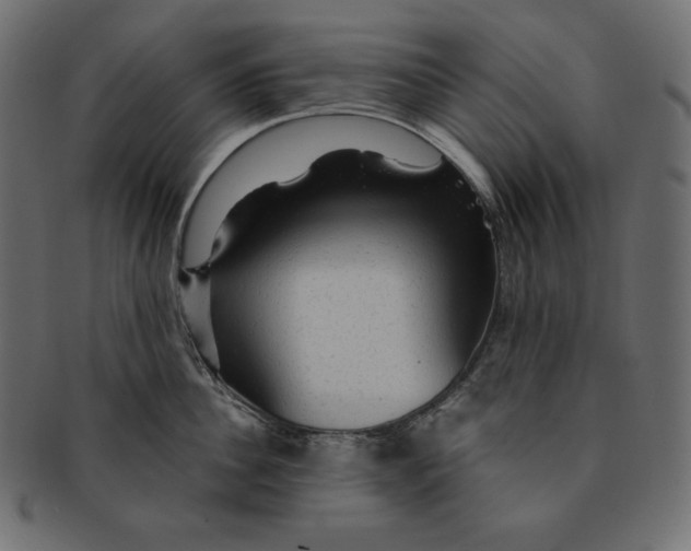 X0000091360956200709071300