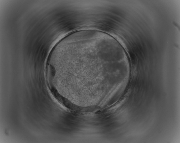 X0000091360957200709071300