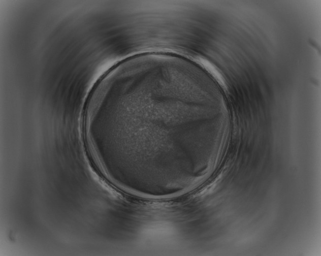 X0000091360958200709071300