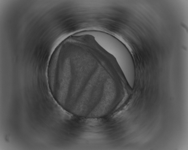 X0000091360959200709071300