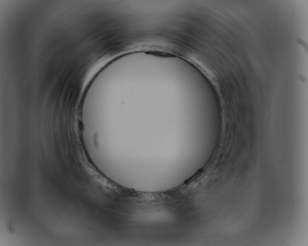 X0000091360960200709071300