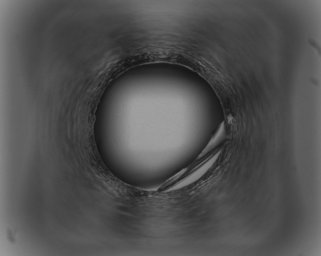 X0000091360961200709071259