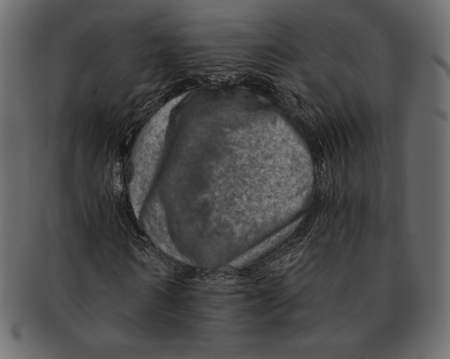 X0000091360962200709071259