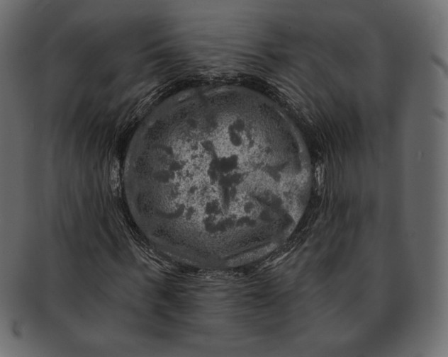 X0000091360963200709071259