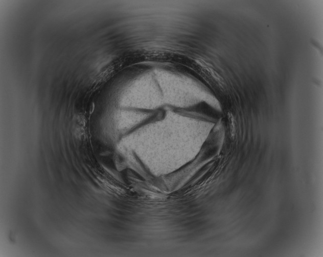 X0000091360964200709071259