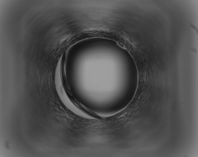 X0000091360965200709071259