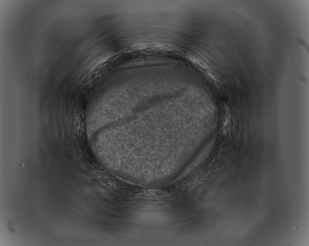 X0000091360966200709071259