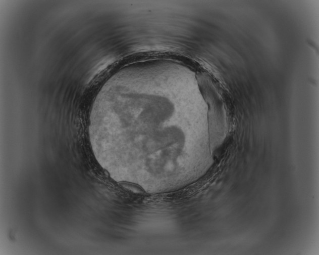 X0000091360967200709071259