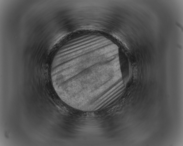 X0000091360968200709071259