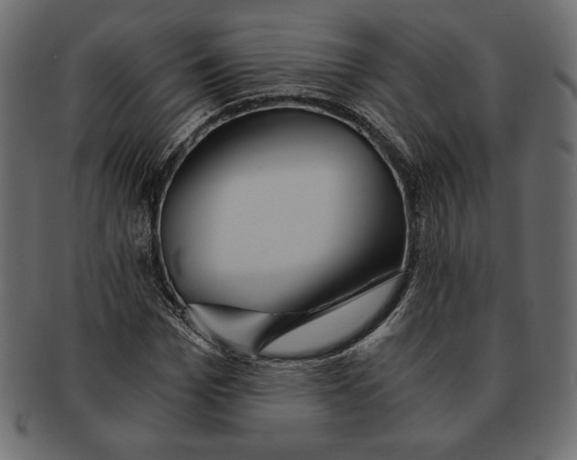 X0000091360969200709071259