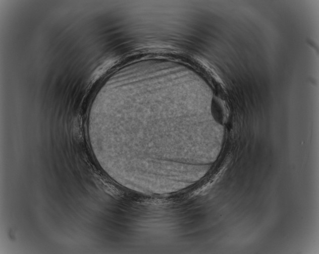 X0000091360970200709071259